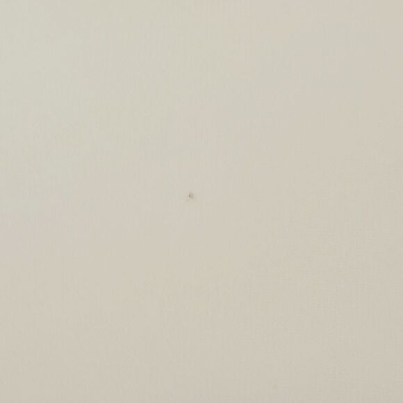 Ivanka Trump Ivory Zipper Detail Layered Hem Pullover Blouse Size M - Picture 8 of 8